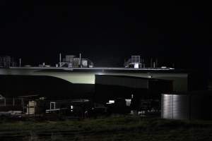 Big River Pork slaughterhouse at night - Captured at Big River Pork Abattoir, Brinkley SA Australia.