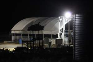 Holding pens - Big River Pork slaughterhouse at night - Captured at Big River Pork Abattoir, Brinkley SA Australia.