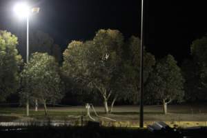 Big River Pork slaughterhouse at night - Captured at Big River Pork Abattoir, Brinkley SA Australia.