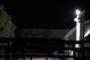 Big River Pork slaughterhouse at night - Captured at Big River Pork Abattoir, Brinkley SA Australia.