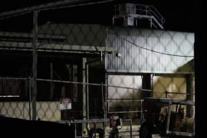 Big River Pork slaughterhouse at night - Captured at Big River Pork Abattoir, Brinkley SA Australia.