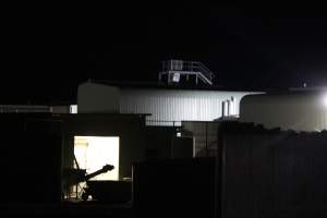 Big River Pork slaughterhouse at night - Captured at Big River Pork Abattoir, Brinkley SA Australia.