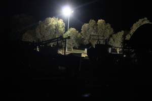 Big River Pork slaughterhouse at night - Captured at Big River Pork Abattoir, Brinkley SA Australia.