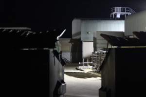 Big River Pork slaughterhouse at night - Captured at Big River Pork Abattoir, Brinkley SA Australia.