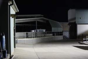 Big River Pork slaughterhouse at night - Captured at Big River Pork Abattoir, Brinkley SA Australia.