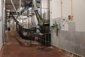 Killing / processing room after pigs tipped out of gas chamber - Captured at Big River Pork Abattoir, Brinkley SA Australia.