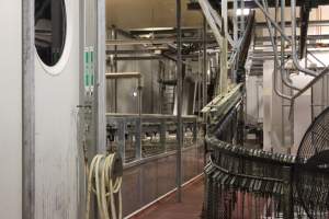 Killing / processing room after pigs tipped out of gas chamber - Scalding tank on left - Captured at Big River Pork Abattoir, Brinkley SA Australia.