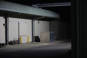 Big River Pork slaughterhouse at night - Captured at Big River Pork Abattoir, Brinkley SA Australia.