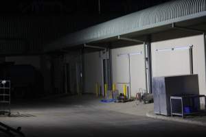 Big River Pork slaughterhouse at night - Captured at Big River Pork Abattoir, Brinkley SA Australia.