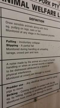 Big River Pork Animal Welfare Limits sign - Butina Combi 66 carbon dioxide gas chamber for 'controlled atmosphere killing' of pigs - Captured at Big River Pork Abattoir, Brinkley SA Australia.