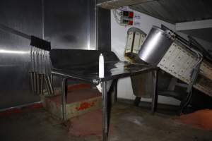 Killing table at end of V Restrainer - Gathercoles slaughterhouse, Wangaratta - killing and processing areas. - Captured at Gathercole's Wangaratta Abattoir, Wangaratta VIC Australia.