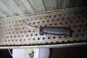 Knife near cattle knockbox - Gathercoles slaughterhouse, Wangaratta - killing and processing areas. - Captured at Gathercole's Wangaratta Abattoir, Wangaratta VIC Australia.