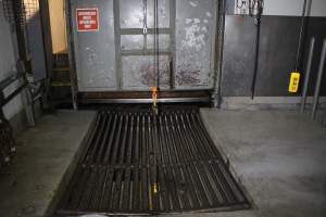 Blood grate where cattle are tipped from knockbox - Blood drains beneath grate - Captured at Gathercole's Wangaratta Abattoir, Wangaratta VIC Australia.