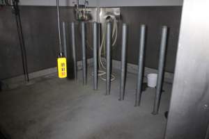 Bollards to prevent cattle getting loose - Gathercoles slaughterhouse, Wangaratta - killing and processing areas. - Captured at Gathercole's Wangaratta Abattoir, Wangaratta VIC Australia.