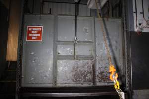 Cattle knockbox exterior - Gathercoles slaughterhouse, Wangaratta - killing and processing areas. - Captured at Gathercole's Wangaratta Abattoir, Wangaratta VIC Australia.