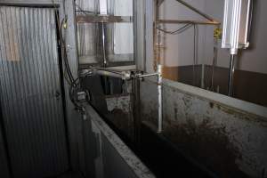 Entrance to cattle knockbox - Gathercoles slaughterhouse, Wangaratta - killing and processing areas. - Captured at Gathercole's Wangaratta Abattoir, Wangaratta VIC Australia.