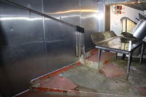 Killing table at top of V Restrainer - Gathercoles slaughterhouse, Wangaratta - killing and processing areas. - Captured at Gathercole's Wangaratta Abattoir, Wangaratta VIC Australia.