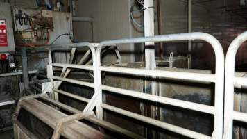 Race leading to gas chamber for pigs - Butina Combi 44 carbon dioxide gas chamber for 'controlled atmosphere killing' of pigs - Captured at Diamond Valley Pork, Laverton North VIC Australia.