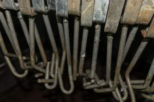 Slaughterhouse shackles - Captured at Benalla Abattoir, Benalla VIC Australia.