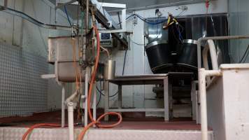 V Restrainer and killing table for calves and sheep - CA Sinclair slaughterhouse at Benalla VIC - Captured at Benalla Abattoir, Benalla VIC Australia.