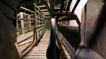 Race leading to gas chamber - CA Sinclair slaughterhouse at Benalla VIC - Captured at Benalla Abattoir, Benalla VIC Australia.