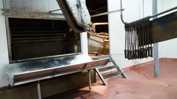 Table where pigs are tipped out from gas chamber - Then killed and hoisted. CA Sinclair slaughterhouse at Benalla VIC - Captured at Benalla Abattoir, Benalla VIC Australia.