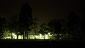 Abattoir outside at night - CA Sinclair slaughterhouse at Benalla VIC - Captured at Benalla Abattoir, Benalla VIC Australia.