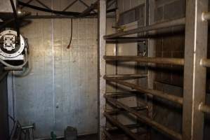 Knockbox for cattle and large pigs - Gretna Quality Meats, Tasmania - Captured at Gretna Meatworks, Rosegarland TAS Australia.