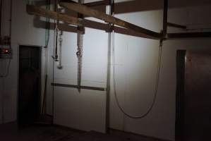 Door to chiller room - Gretna Quality Meats, Tasmania - Captured at Gretna Meatworks, Rosegarland TAS Australia.
