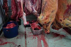 Carcasses in slaughterhouse chiller room - Gretna Quality Meats, Tasmania - Captured at Gretna Meatworks, Rosegarland TAS Australia.