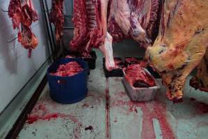 Carcasses in slaughterhouse chiller room - Gretna Quality Meats, Tasmania - Captured at Gretna Meatworks, Rosegarland TAS Australia.