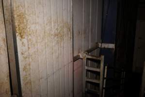 Sliding door into processing room - Gretna Quality Meats, Tasmania - Captured at Gretna Meatworks, Rosegarland TAS Australia.