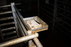 Tray with knife and bolt gun bullets next to kill pen - Gretna Quality Meats, Tasmania - Captured at Gretna Meatworks, Rosegarland TAS Australia.