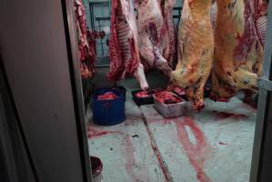 Carcasses in slaughterhouse chiller room - Gretna Quality Meats, Tasmania - Captured at Gretna Meatworks, Rosegarland TAS Australia.