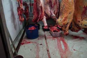 Carcasses in slaughterhouse chiller room - Gretna Quality Meats, Tasmania - Captured at Gretna Meatworks, Rosegarland TAS Australia.