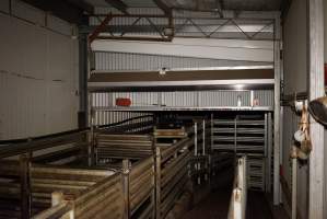 Holding pens - Race, killing and processing area for sheep and bobby calves - Captured at Tasmanian Quality Meats Abattoir, Cressy TAS Australia.