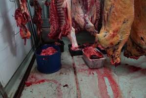 Carcasses in slaughterhouse chiller room - Gretna Quality Meats, Tasmania - Captured at Gretna Meatworks, Rosegarland TAS Australia.