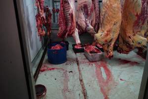 Carcasses in slaughterhouse chiller room - Gretna Quality Meats, Tasmania - Captured at Gretna Meatworks, Rosegarland TAS Australia.