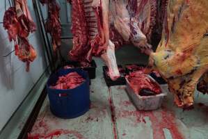 Carcasses in slaughterhouse chiller room - Gretna Quality Meats, Tasmania - Captured at Gretna Meatworks, Rosegarland TAS Australia.