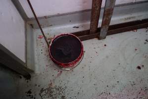 Bucket of blood in slaughterhouse chiller room - Gretna Quality Meats, Tasmania - Captured at Gretna Meatworks, Rosegarland TAS Australia.