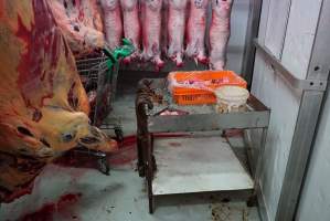 Carcasses in slaughterhouse chiller room - Gretna Quality Meats, Tasmania - Captured at Gretna Meatworks, Rosegarland TAS Australia.