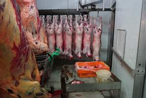 Carcasses in slaughterhouse chiller room - Gretna Quality Meats, Tasmania - Captured at Gretna Meatworks, Rosegarland TAS Australia.