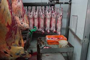 Carcasses in slaughterhouse chiller room - Gretna Quality Meats, Tasmania - Captured at Gretna Meatworks, Rosegarland TAS Australia.