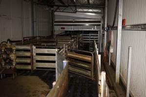 Holding pens and race - Race, killing and processing area for sheep and bobby calves - Captured at Tasmanian Quality Meats Abattoir, Cressy TAS Australia.