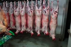 Carcasses in slaughterhouse chiller room - Gretna Quality Meats, Tasmania - Captured at Gretna Meatworks, Rosegarland TAS Australia.