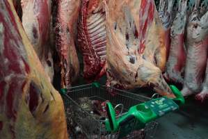 Carcasses in slaughterhouse chiller room - Trolley full of sheep heads. Gretna Quality Meats, Tasmania - Captured at Gretna Meatworks, Rosegarland TAS Australia.