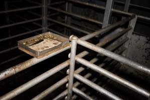 Tray with knife and bolt gun bullets next to kill pen - Holding pens in background - Captured at Gretna Meatworks, Rosegarland TAS Australia.