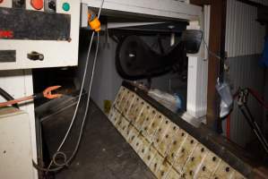 V Restrainer leading into kill room - Race, killing and processing area for sheep and bobby calves - Captured at Tasmanian Quality Meats Abattoir, Cressy TAS Australia.