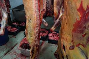 Carcasses in slaughterhouse chiller room - Gretna Quality Meats, Tasmania - Captured at Gretna Meatworks, Rosegarland TAS Australia.