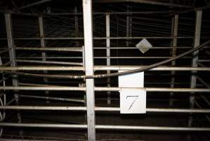 Holding pens - Gretna Quality Meats, Tasmania - Captured at Gretna Meatworks, Rosegarland TAS Australia.